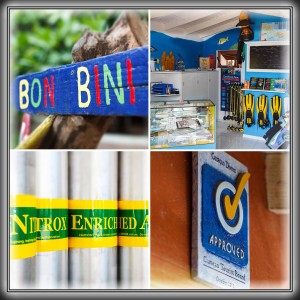 Button Dive Shop