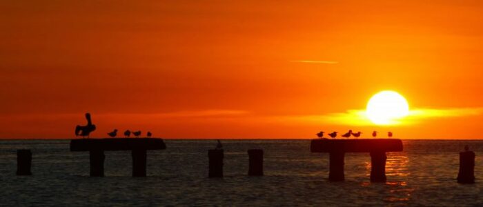 Karibischer Sonnenuntergang am Strand in Curacao nach dem Tauchen