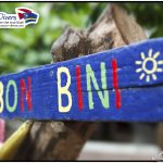 Bon Bini Curacao Divers Deutsche Tauchschule Tauchen Tauchurlaub Urlaub entspannen Unterwasser Non Limit Freiheit selbstständig Karibik Strände Beach