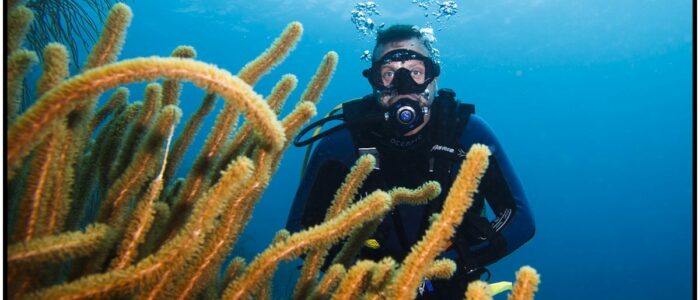 Taucher beim tauchen Curacao Divers Deutsche Tauchschule Tauchen Tauchurlaub Urlaub entspannen Unterwasser