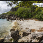 SChöner und einsamer Strand in San Juan mit dem Namen Playa San Mosa aus dem Tauchreiseführer von den Curacao-Divers