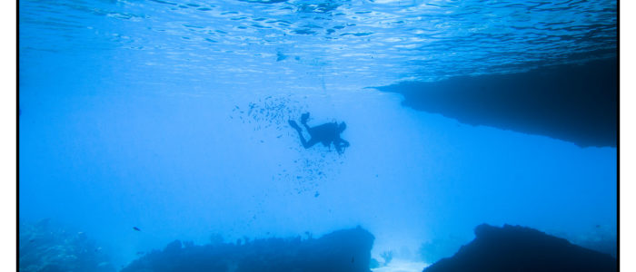 Curacao Tauchen bester Tauchplatz beste Tauchspots am Blue Room beim Mushroom forest zum Tauchen Tauchreiseführer Curacao