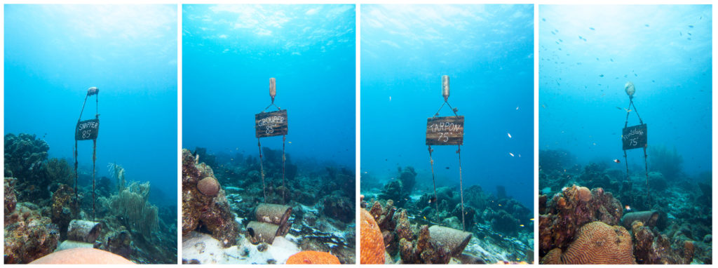 Wegweiser unterwasser für die Bungalows im Sun Reef Village on Sea bei den Curacao DIvers